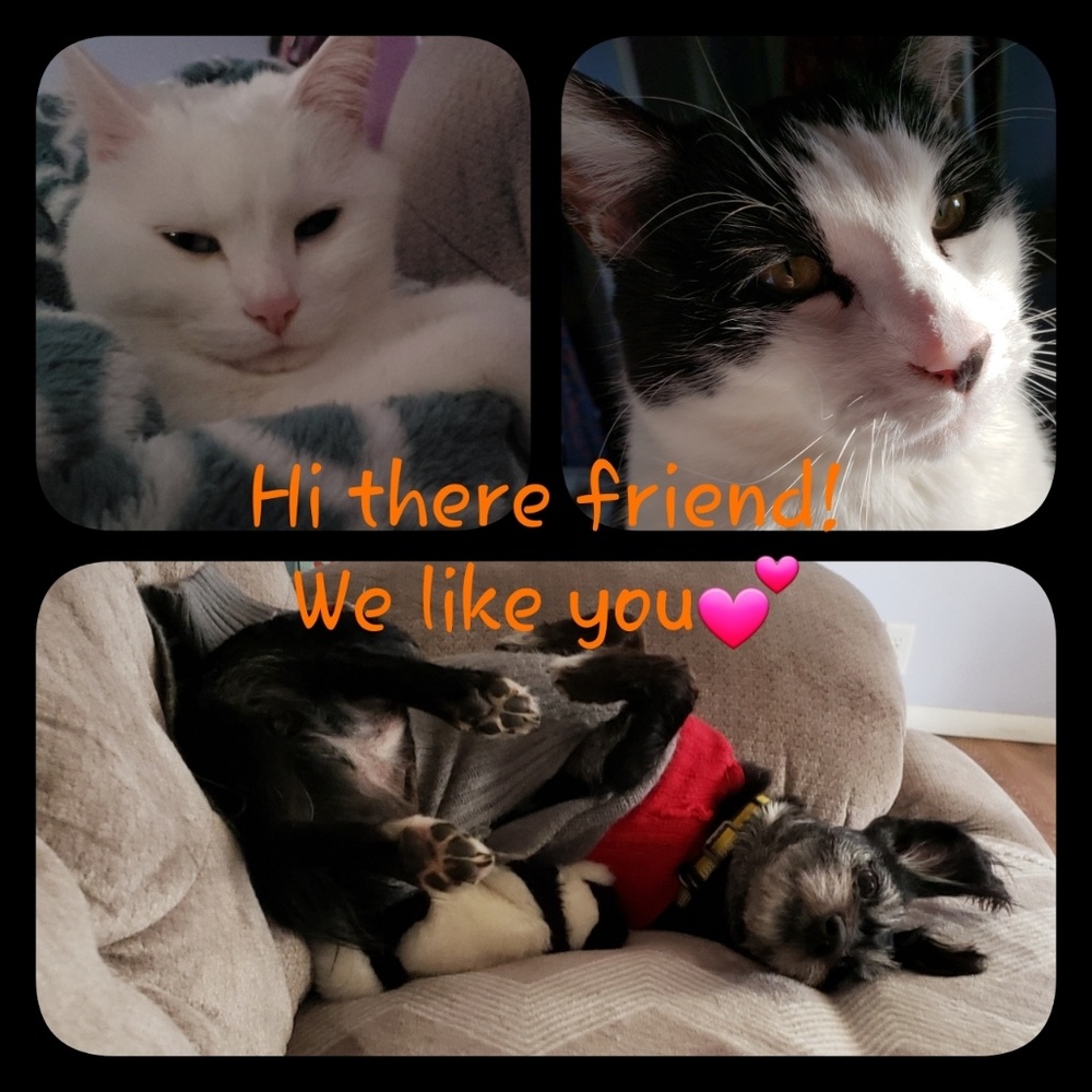 Thanks for stoppin' by! ;)